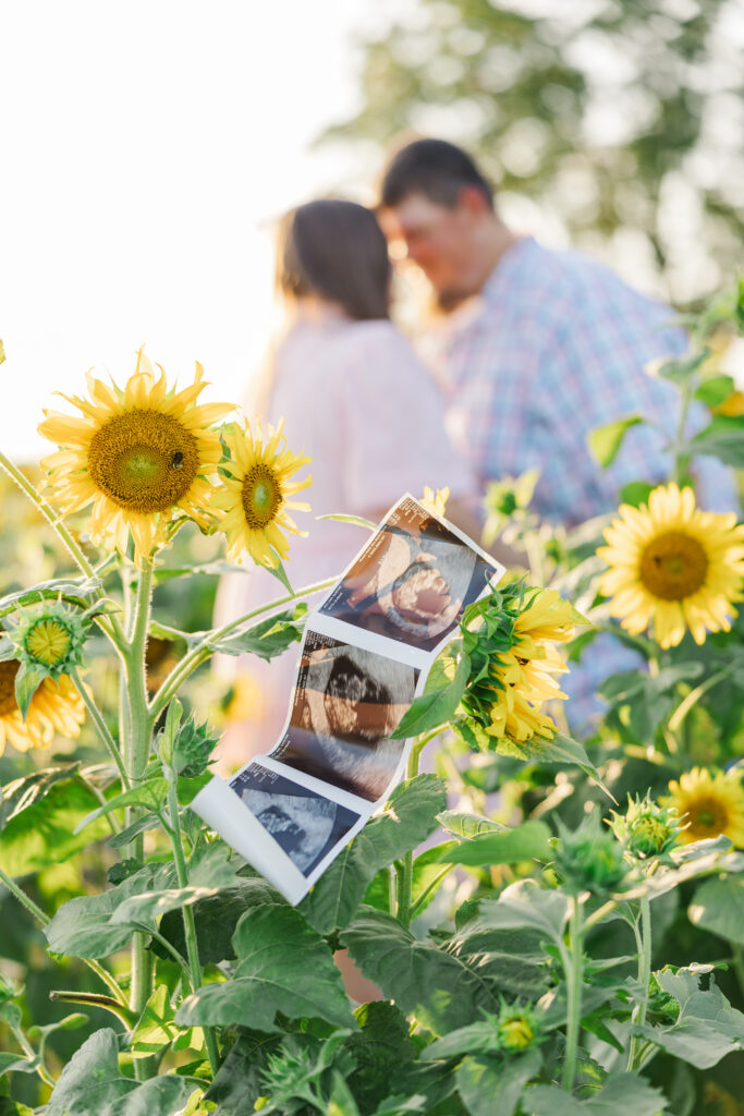 Expecting parents standing in a sunflower field with ultrasound photos during a maternity session at a Raleigh photography location.